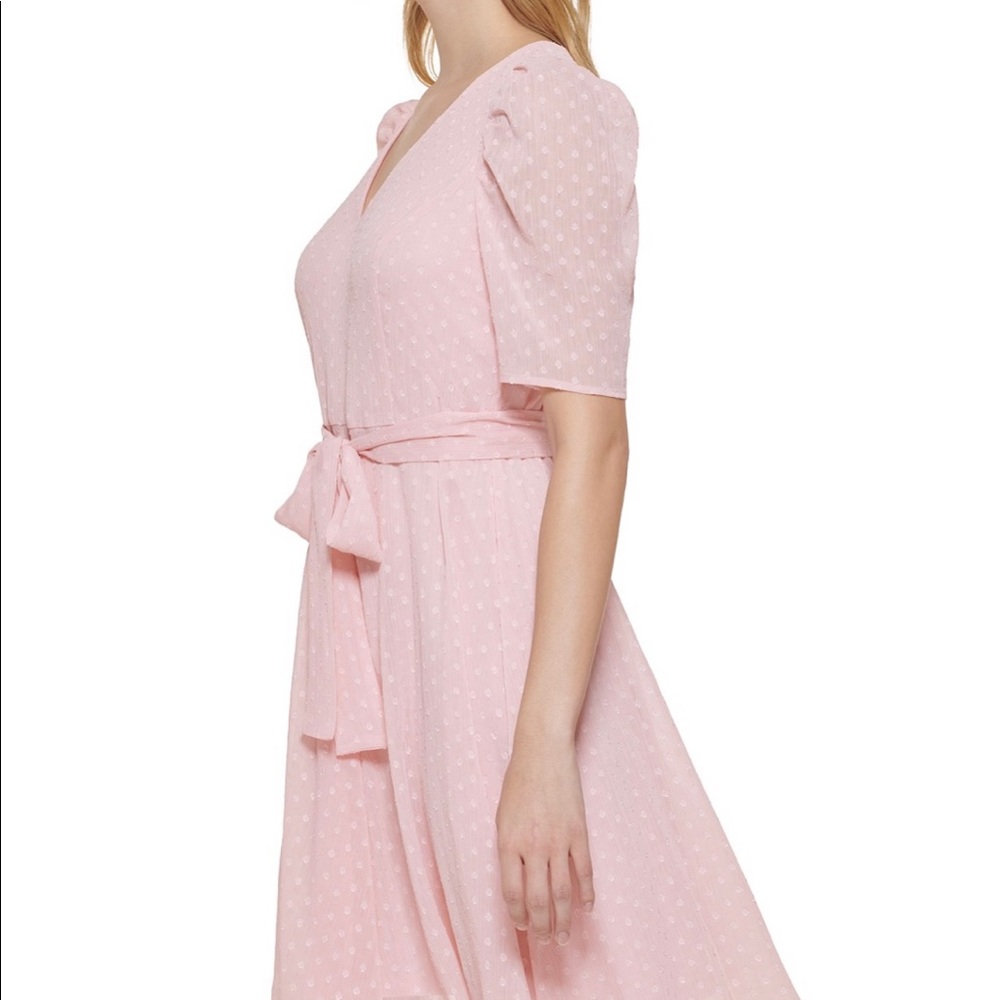 Swiss Dot Fit & Flare Dress - Picture 3 of 5